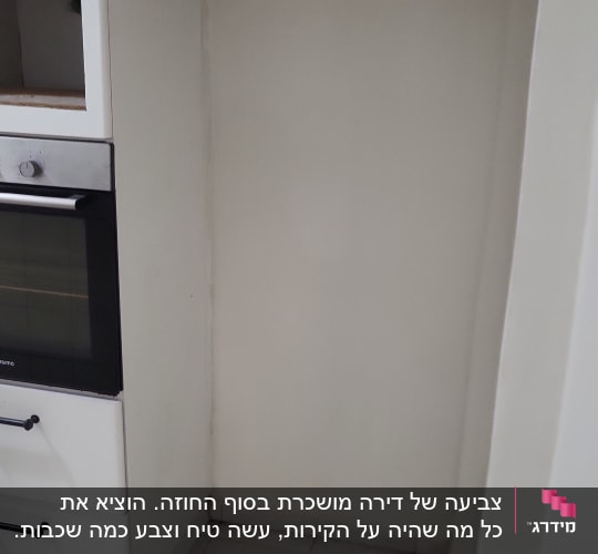 קיר צבוע